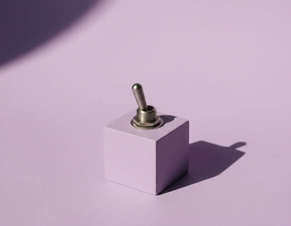 An aluminium toggle switch on a lilac cube
