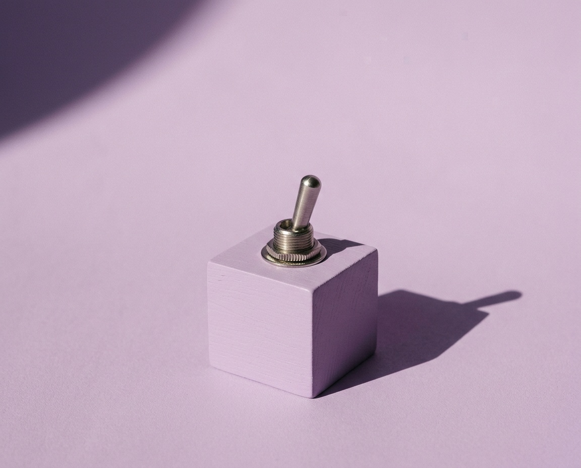 Aluminium toggle switch on a lilac block